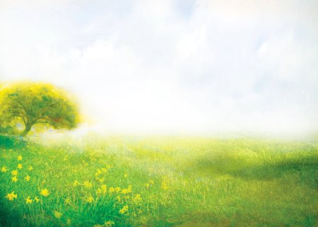 Летний фон для презентации