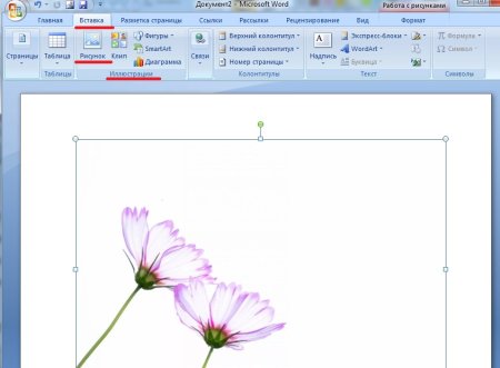 Рисунки для ворда вставки