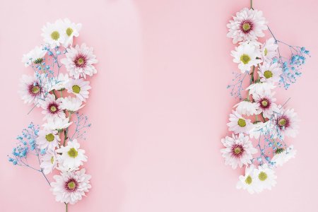 Красивый цветочный фон для текста