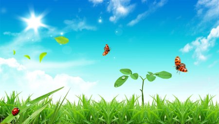Фон для презентации природа