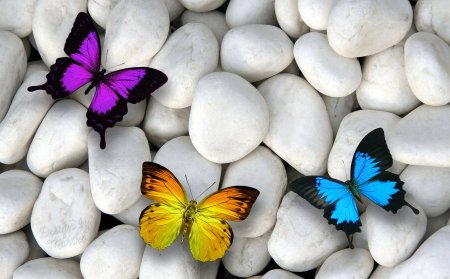 Красивые обои на рабочий стол