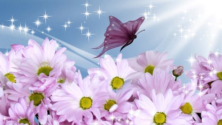 Заставка для рабочего стола компьютера цветы