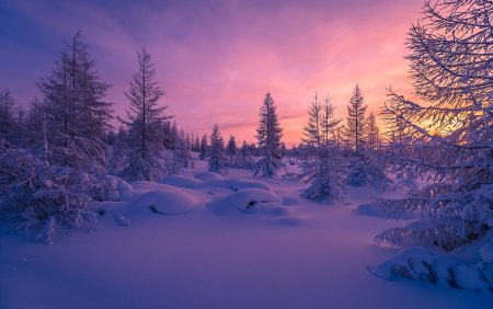 Фон для рабочего стола зима