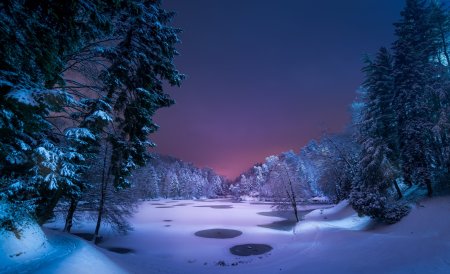 Крещенская ночь Бунин стихотворение