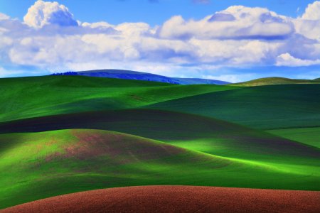 «Зеленые холмы»