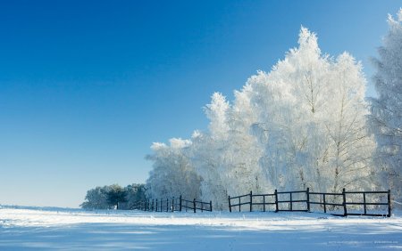 Зимний пейзаж