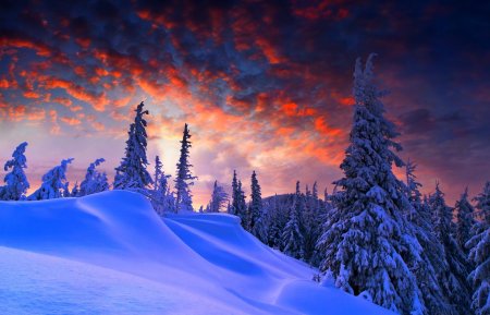 Зимняя природа