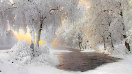 Зимний пейзаж снег