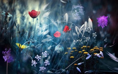 Природа цветы