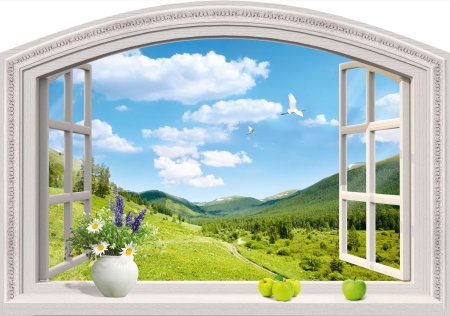 Вид из окна