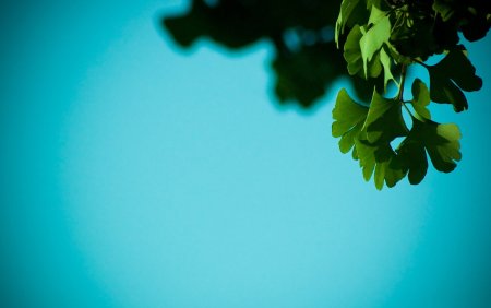 Заставка на рабочий стол нейтральная