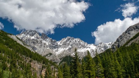 Алматы панорама
