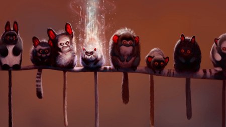 Обои на рабочий стол прикольные