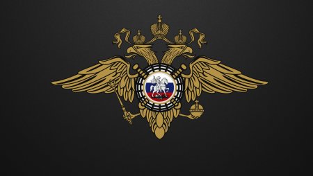 Полиция МВД РФ