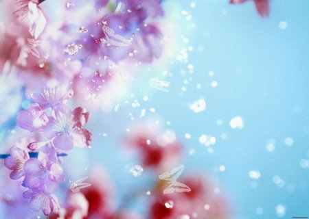 Нежный цветок