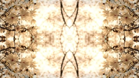 Картинки для фона