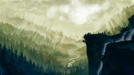 Обрыв в лесу