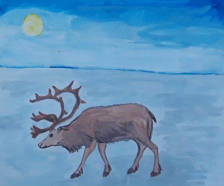 Рисование животных севера