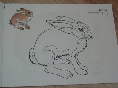 Рисование диких животных России