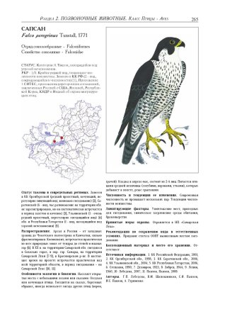 Животное из красной книги Самарской области