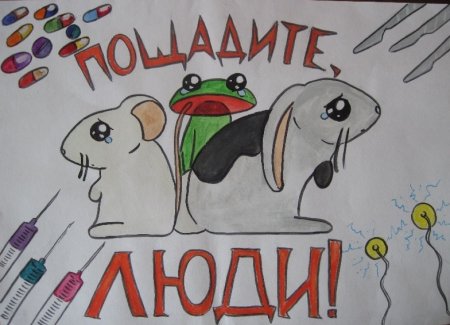 Плакат берегите животных