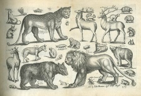 «Искусство древнего Рима». Фрески и мозаики