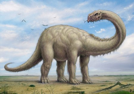 Зденека Буриана