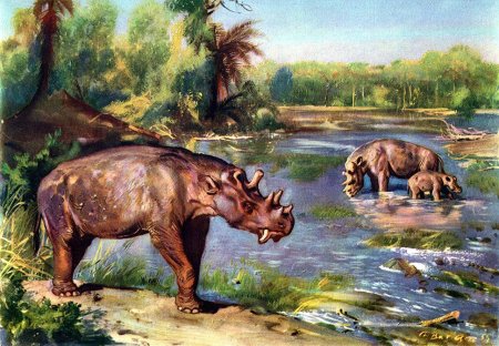 Наскальная живопись первобытных людей