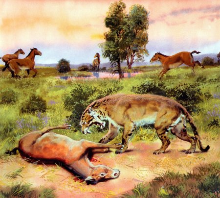 Средневековые Гравюры животных