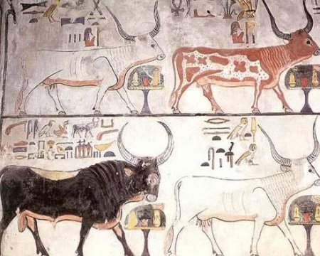 Наскальная живопись для детей