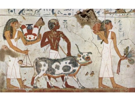 Вымершие животные платибелодон