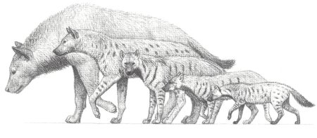 Динозавры Триасового периода