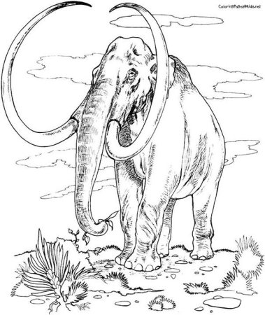 Мамонт раскраска