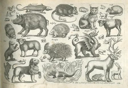 Плейстоценовая фауна Южной Америки