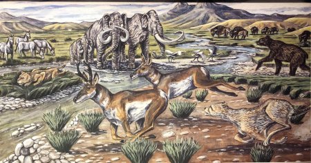 Пещеры Альтамира и Ласко