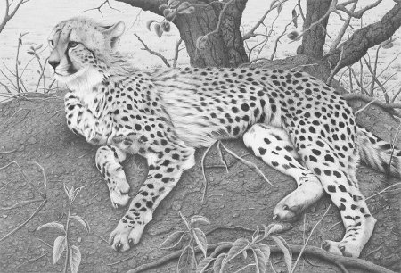 Клайв Меридит художник