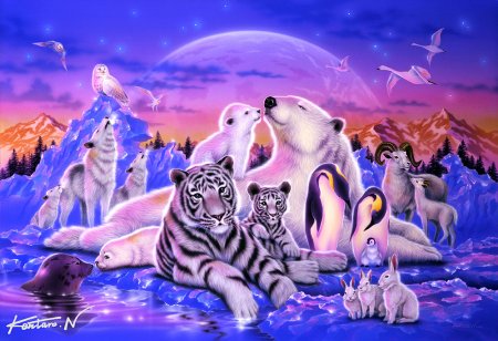 Кентаро Нишино Дикие животные