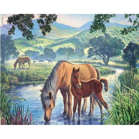 Cynthie Fisher художник картины животных