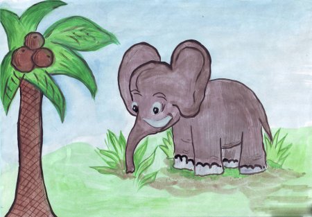 Иллюстрация природы и животных