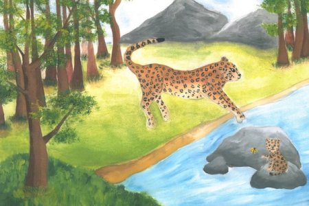 Заповедник рисунок