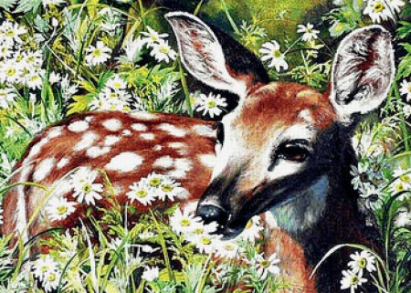 Звери и птицы в лесу