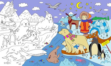 Животные севера задания для малышей