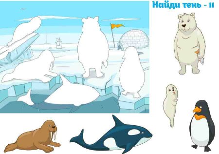 Животные Южного полюса для детей