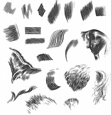 Зарисуй шерсть зверей