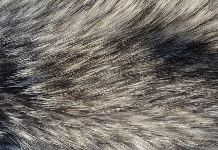 Волчья шерсть