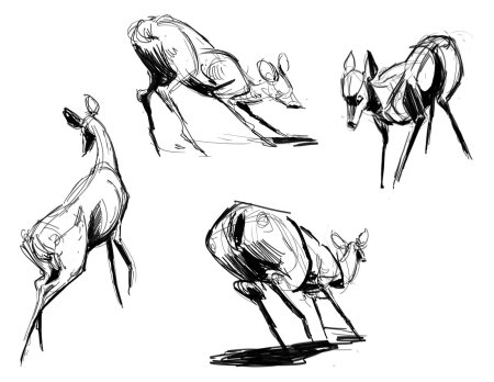 Олень скетч референс