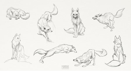 Лиса сбоку референс