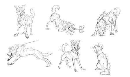 Позы собак для рисования