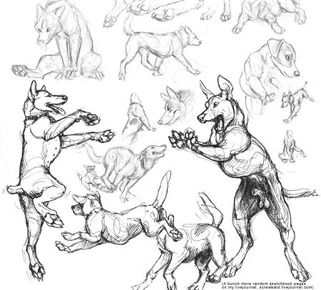 Позы собак для рисования