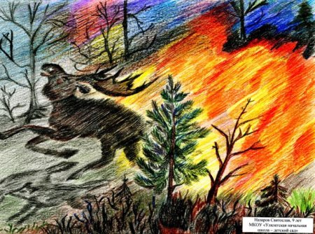 Николай Фомин иллюстратор